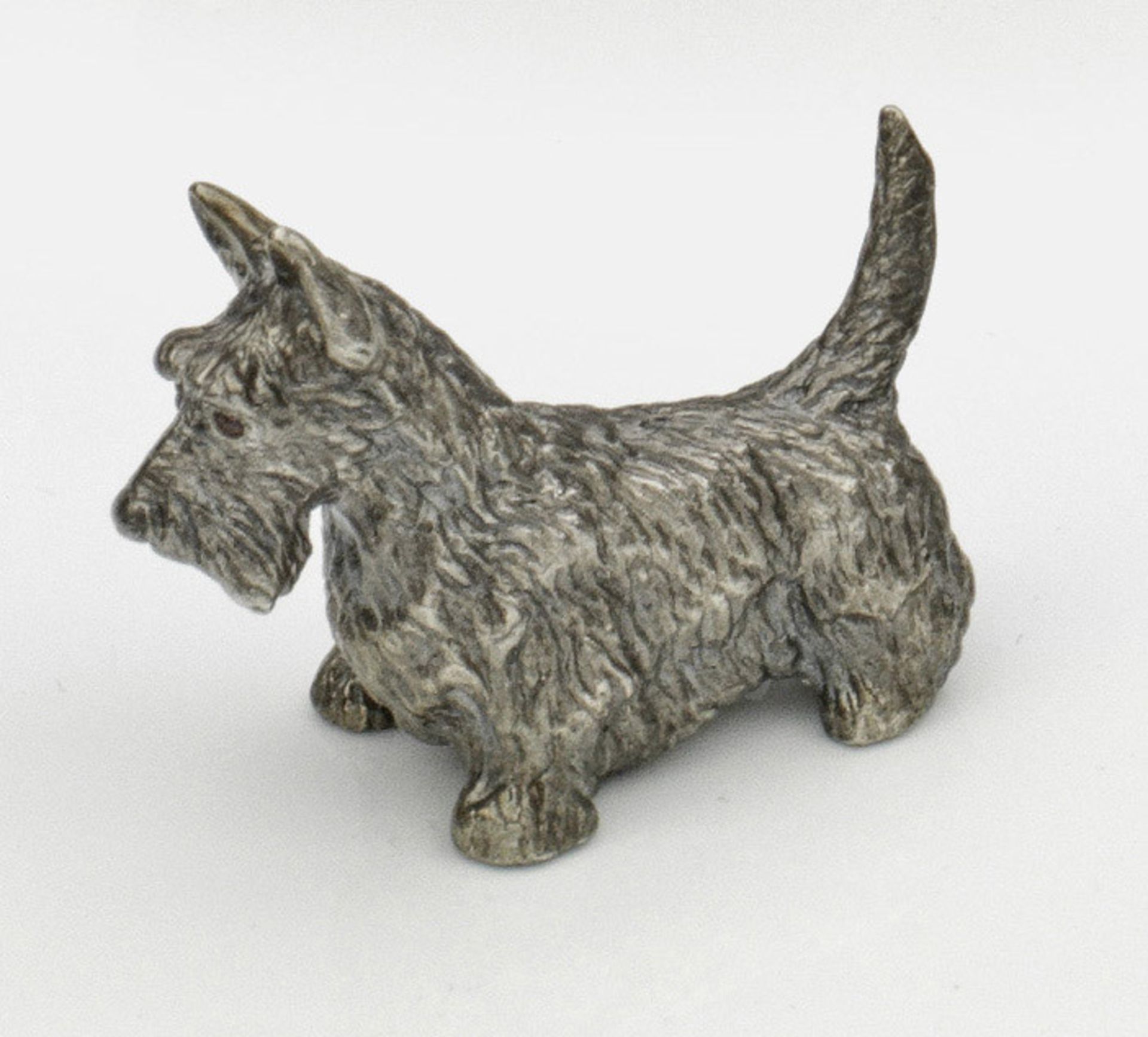 Miniatur-Terrier