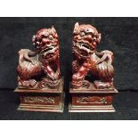 Pair of Chinese or Sino-Tibetan carved Rosewood Foo or Guardian Lion Dogs on stands. Male and