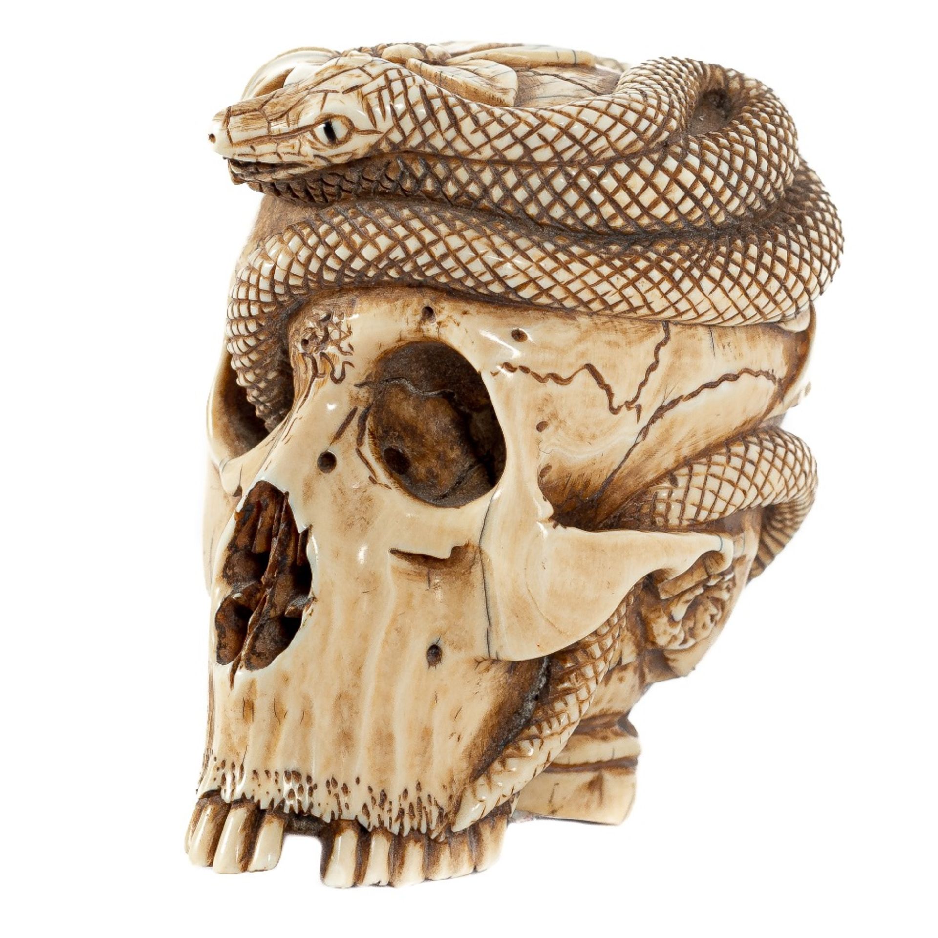 Escuela europea, s.XX. Calavera con serpiente.  - Bild 3 aus 4