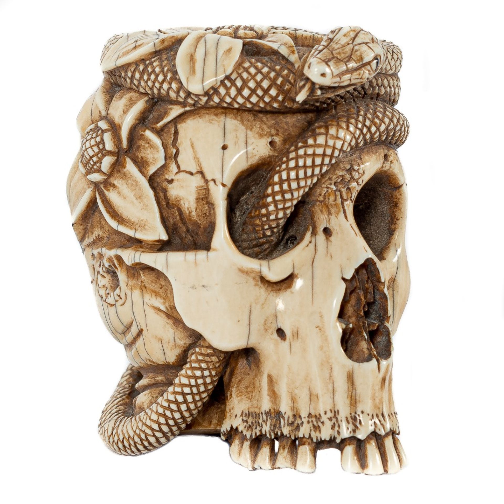 Escuela europea, s.XX. Calavera con serpiente.  - Bild 2 aus 4