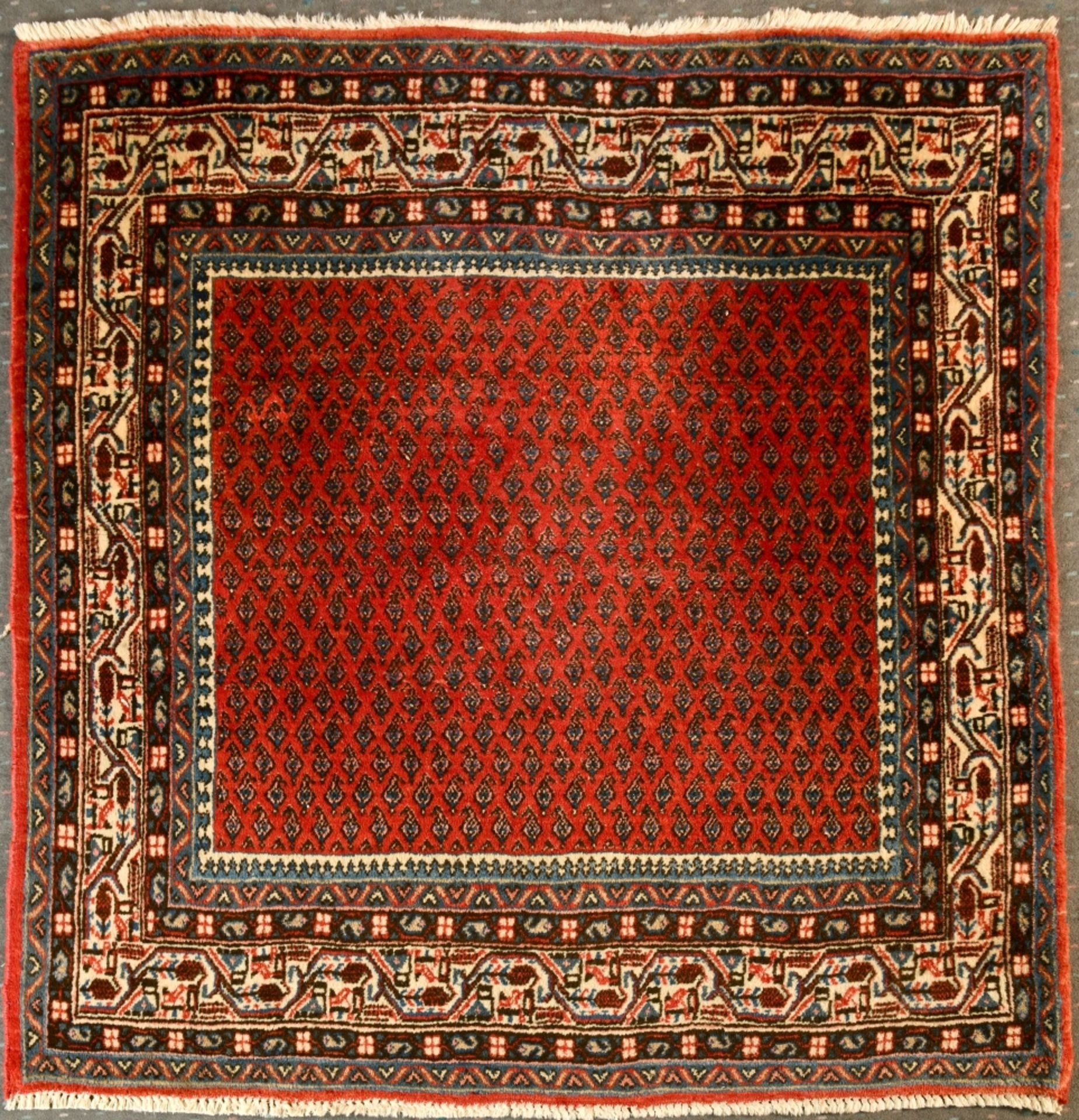 Sarough-Mir, Persien, 152 x 152 cm