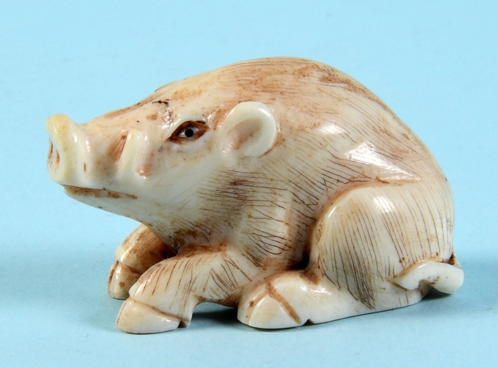 Netsuke - Wildschwein