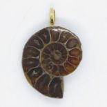 Ammonite pendant 3.5cm long