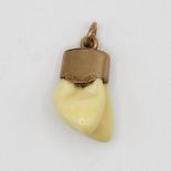 Antique high carat gold set deer teeth hunting pendant 9.8g