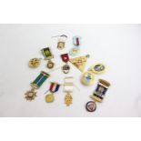 12 x Assorted Vintage MASONIC & RAOB Jewels / Medals Inc Steward Etc