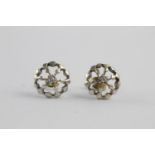 9ct white gold diamond stud earrings (2.5g)