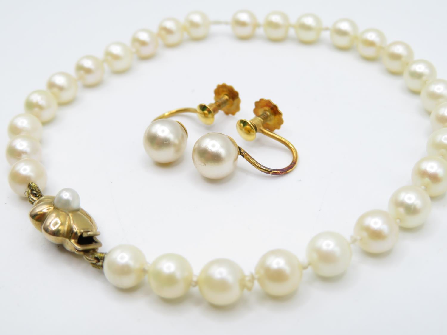 9ct gold clasp pearl bracelet with boxed pearl earrings - Image 2 of 5