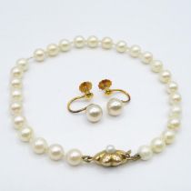 9ct gold clasp pearl bracelet with boxed pearl earrings