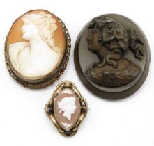 3x antique cameo brooches with shell and vulcanite