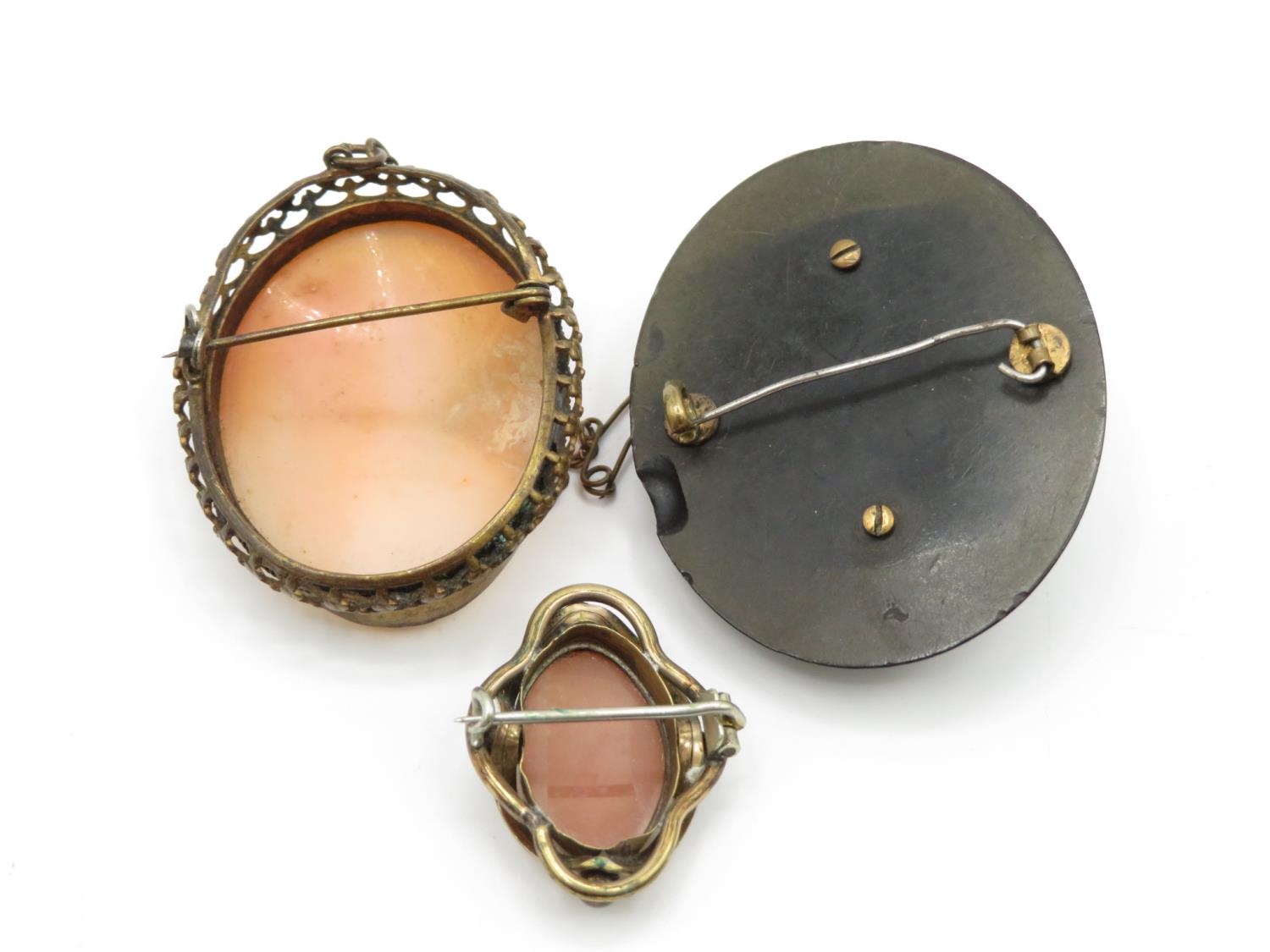 3x antique cameo brooches with shell and vulcanite - Image 3 of 3