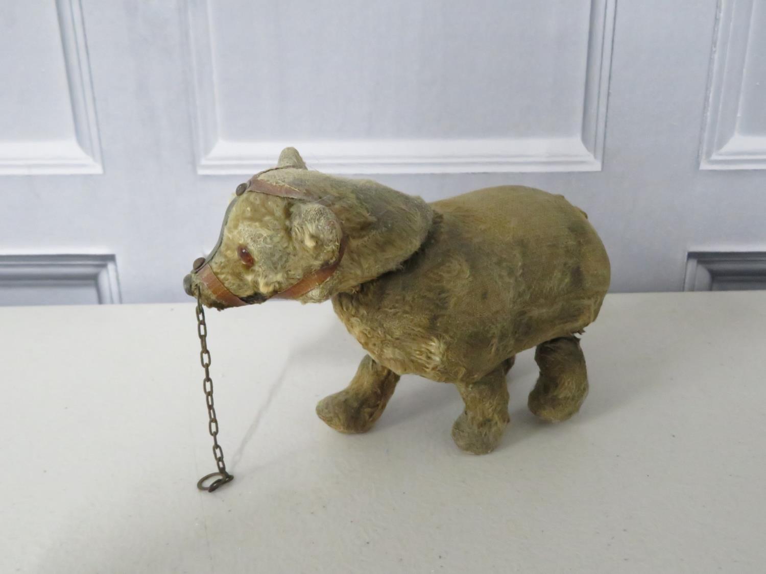 A german clockwork muzzled bear with key - fully working. 6inches long - Image 4 of 5