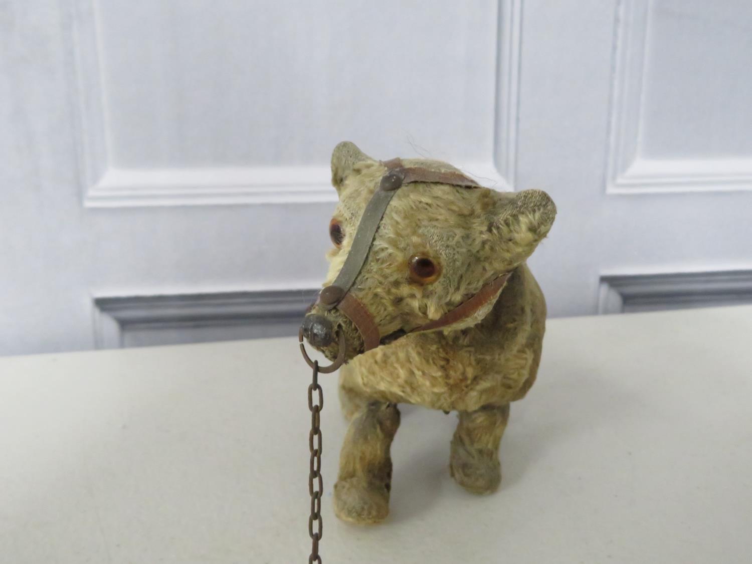 A german clockwork muzzled bear with key - fully working. 6inches long - Image 5 of 5