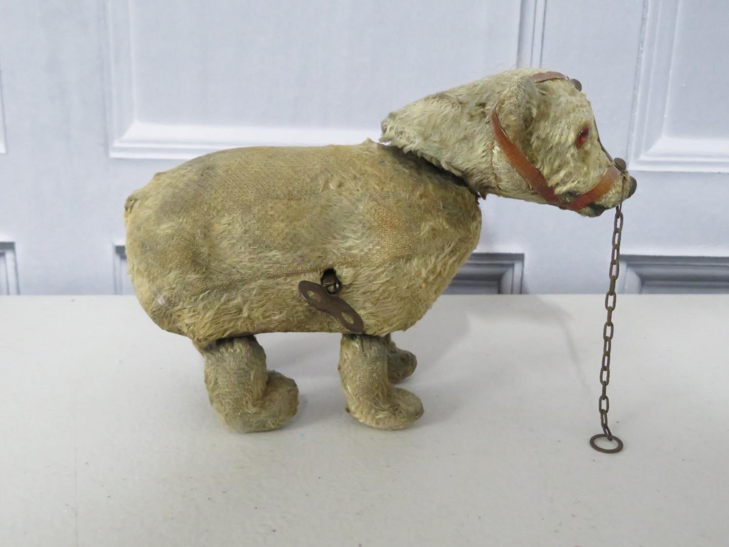 A german clockwork muzzled bear with key - fully working. 6inches long - Image 2 of 5