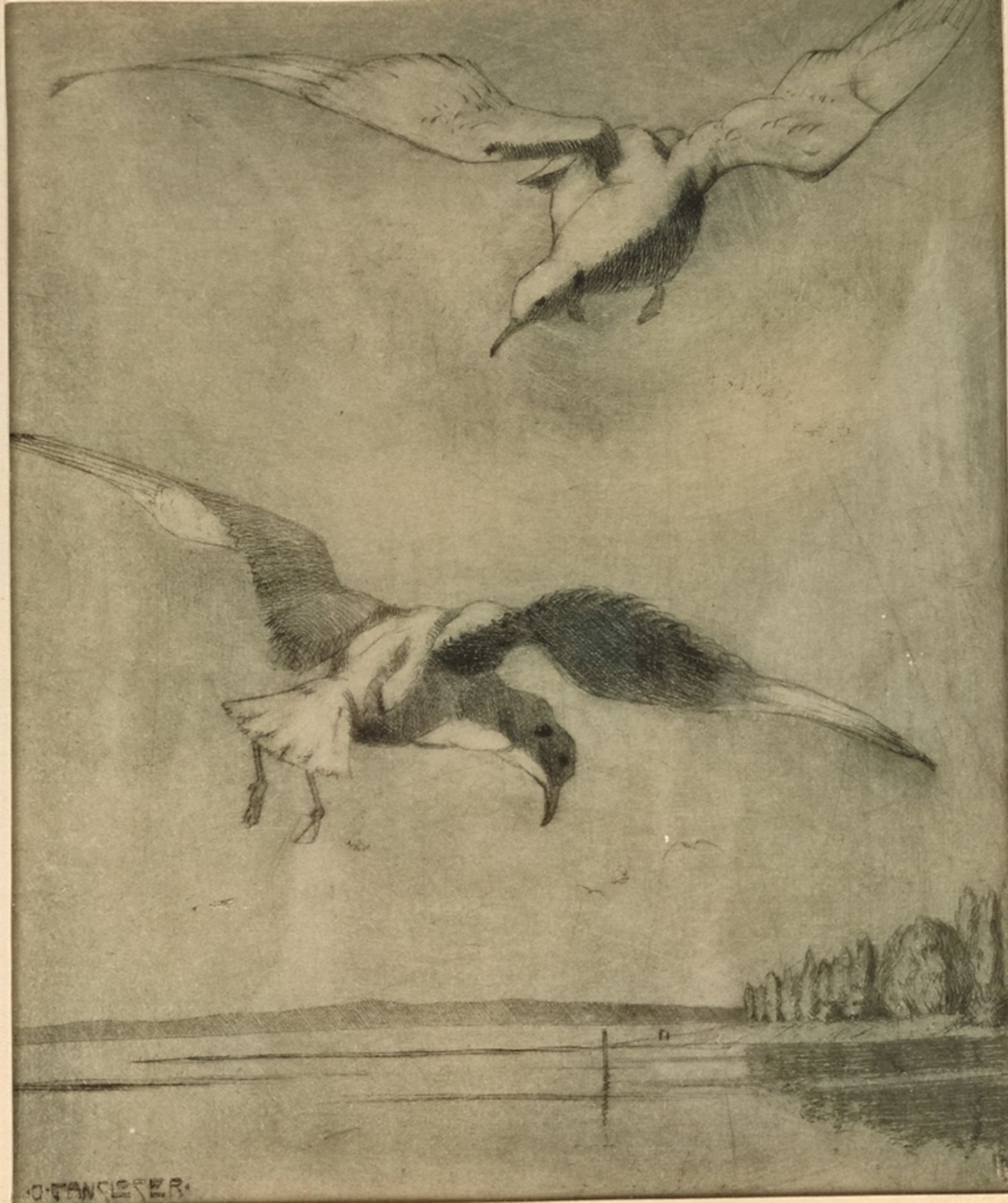 Gansloser, Oskar (1881 Pforzheim -1945 Konstanz) "Möwen im Flug", am Bodensee, links unten in der P