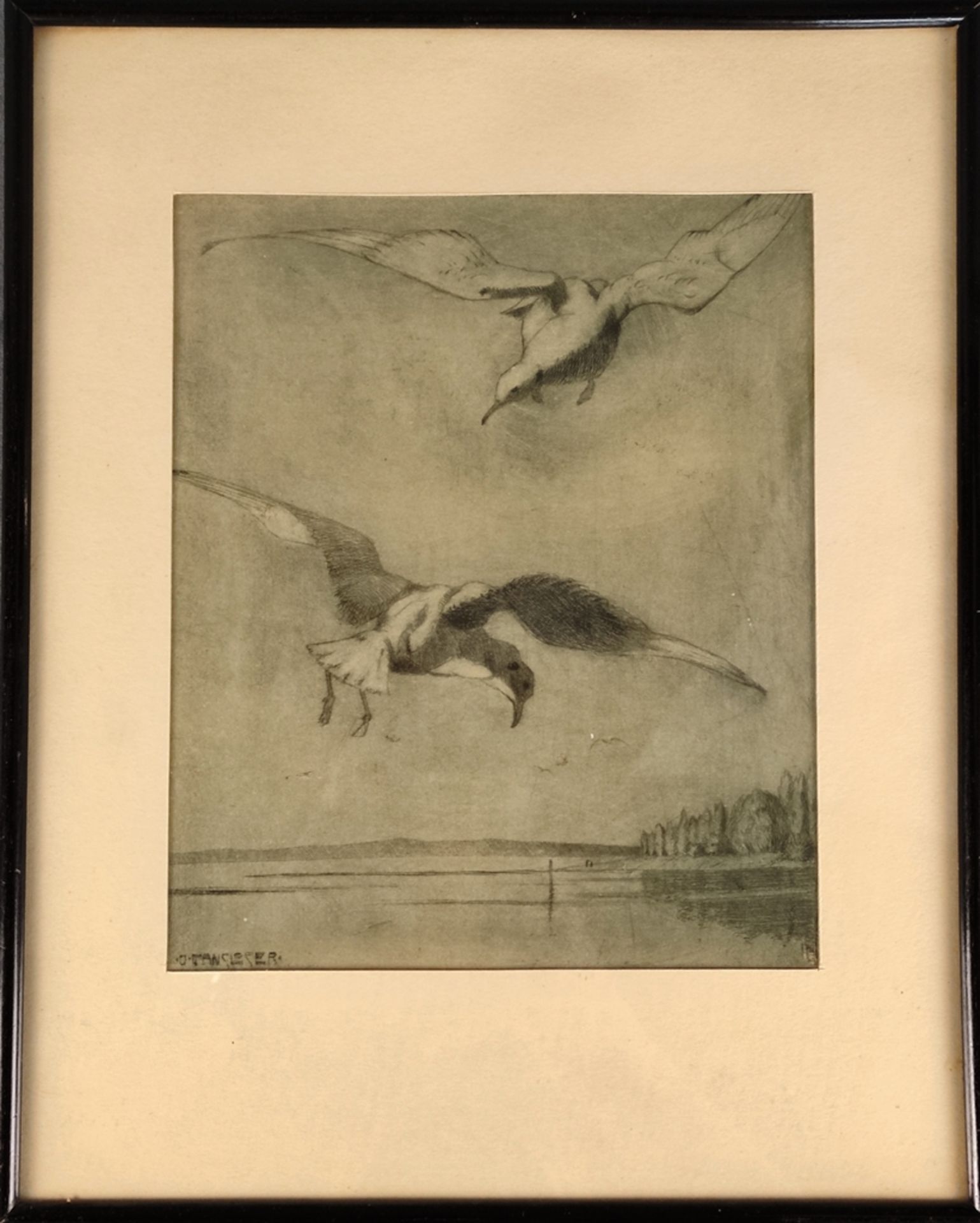 Gansloser, Oskar (1881 Pforzheim -1945 Konstanz) "Möwen im Flug", am Bodensee, links unten in der P - Bild 2 aus 3