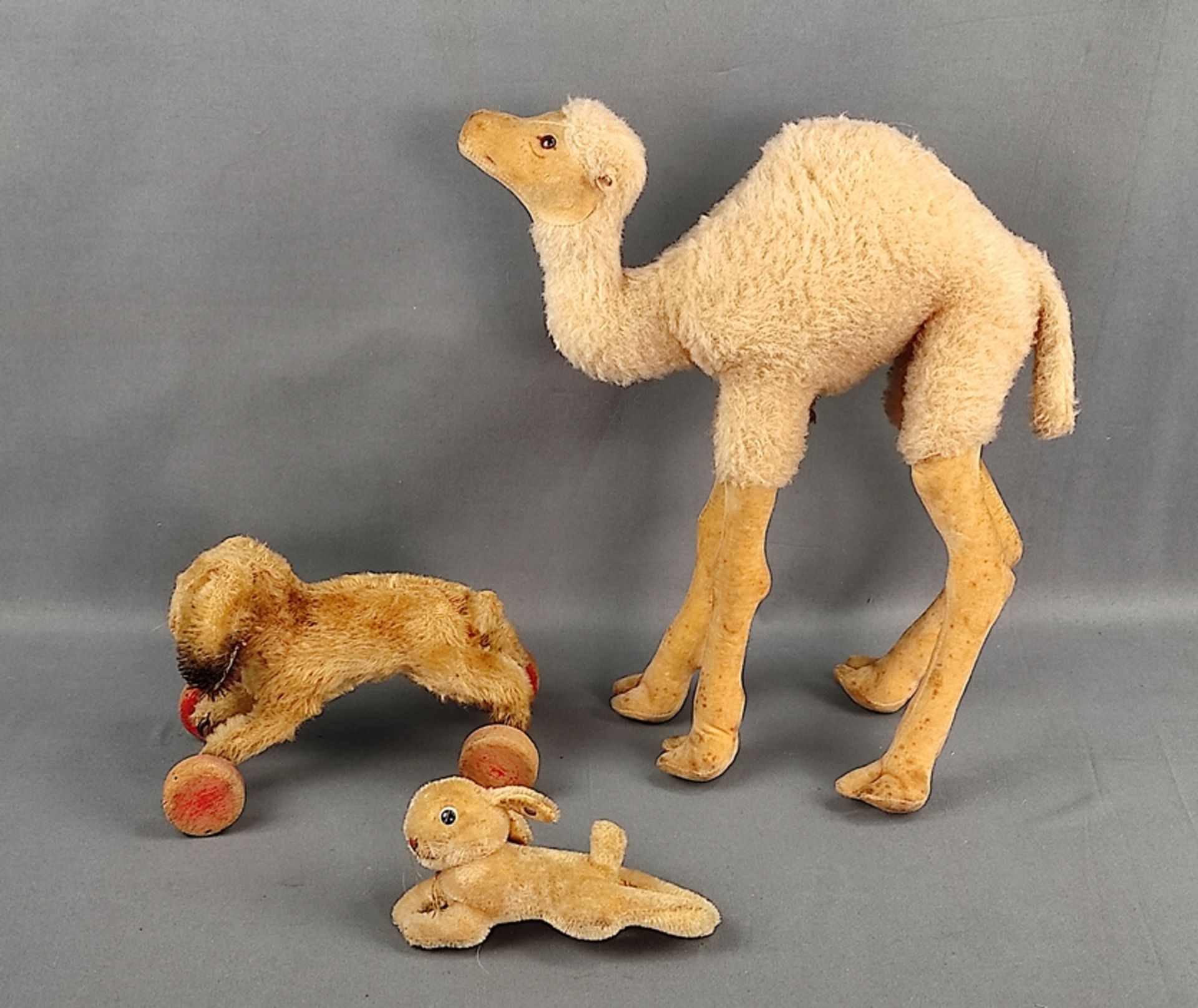 Steiff convolute, 3 animals, consisting of dromedary, button in ear, flag US zone, height 35cm, sma
