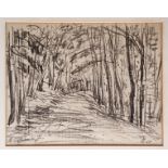 Herburger, Julius (1900-1973 Ravensburg) "Waldweg II", Schwarze Kreide auf Papier, links unten mono