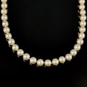 Feine Perlenkette, 585/14K Weißgold, Gesamtgewicht 28,9g, feine Zuchtperlen in hellgrauem Lüster, e