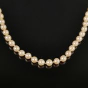Feine Perlenkette, 585/14K Gelbgold, Gesamtgewicht 26,7g, feine Akoya-Zuchtperlen in weißem Lüster,