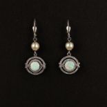 Opal-Perl-Ohrringe, Silber 925, 5,7g, Klappohrbügel besetzt mit weißen Akoya-Zuchtperlen in feinem 