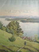 Seilnacht, Willy (1887/97 - 1962 Konstanz) "Sicht vom Höhengasthof Haldenhof", Bodenseelandschaft a