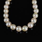 Akoya pearl necklace with diamond clasp, 585/14K white gold, total weight 31.6g, even freshwater pe