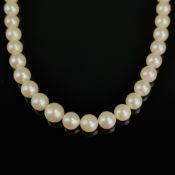 Perlenkette, 750/18K Gelbgold (punziert), Gesamtgewicht 31,91g, Akoya-Zuchtperlen von ca. 8-6,5mm D