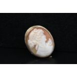 A cameo surrounded in 9ct gold approx 2 inches x 1.5 inches with safety pin.