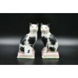 Pair of Staffordshire ware cats. 7.5 inches high