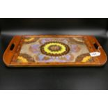 Vintage tray inlaid with insect wings under glass