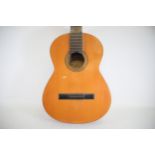 Smith Watts London Acoustic guitar AF