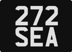 272 SEA Registration Number