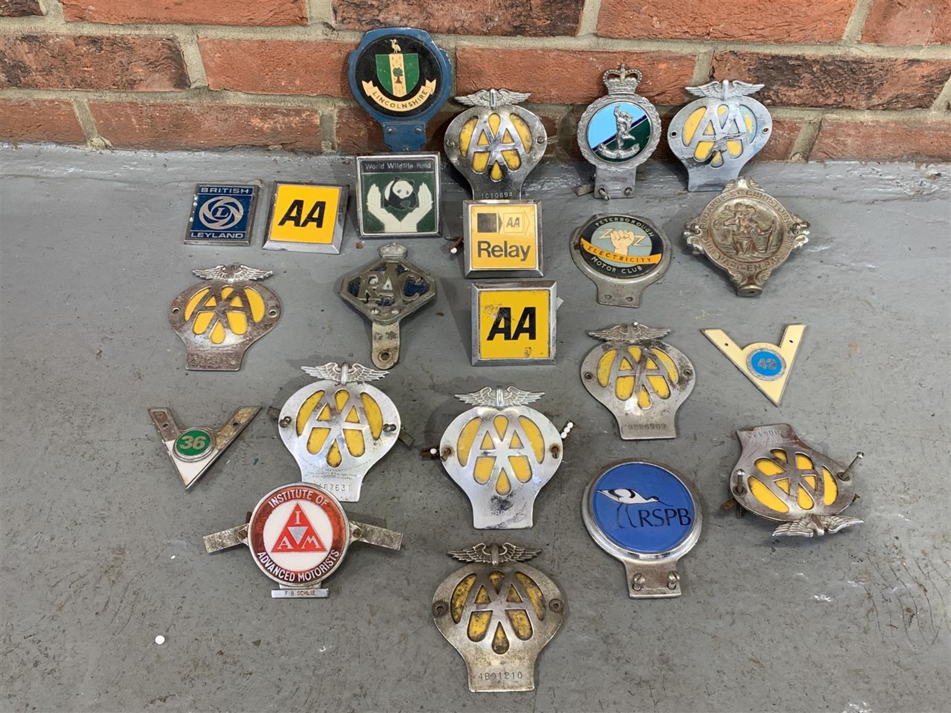 Twenty Two Vintage Car Badges
