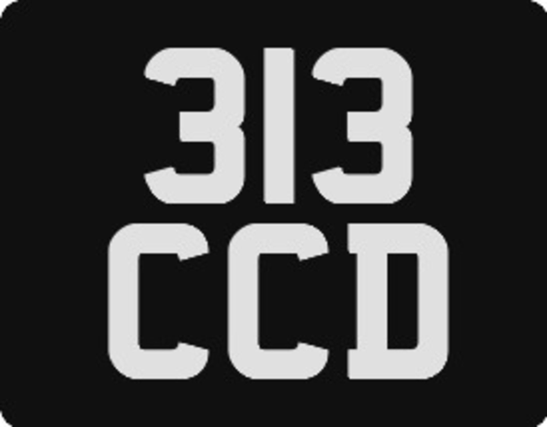 313 CCD Registration Number