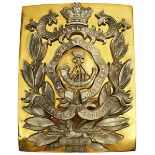 A 13TH REGIMENT OF FOOT (PRINCE ALBERT'S LIGHT INFANTRY) OFFICER'S SHOULDER BELT PLATE, the gilt