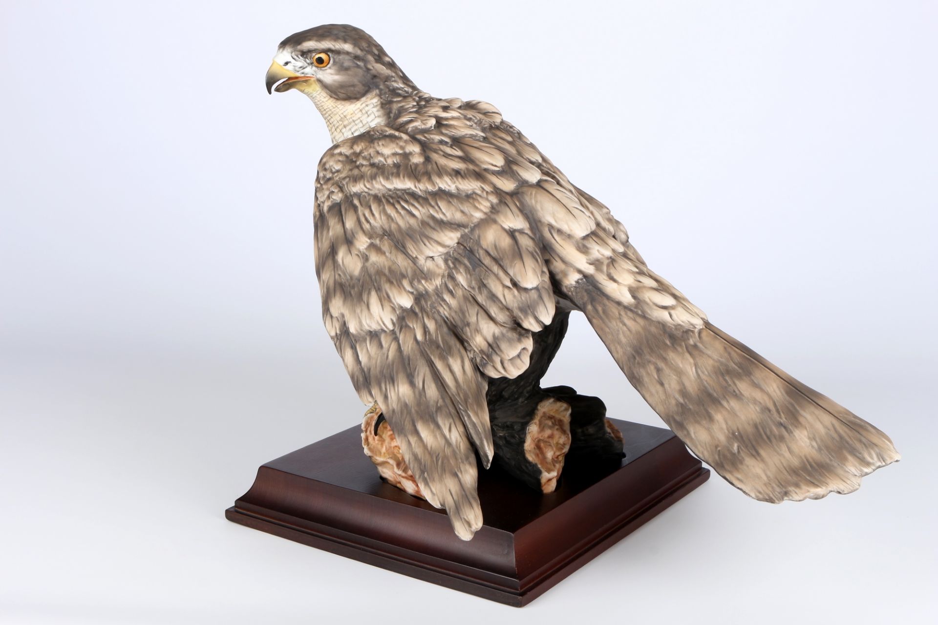 AK Kaiser Habicht auf Ast, porcelain goshawk, - Bild 4 aus 5