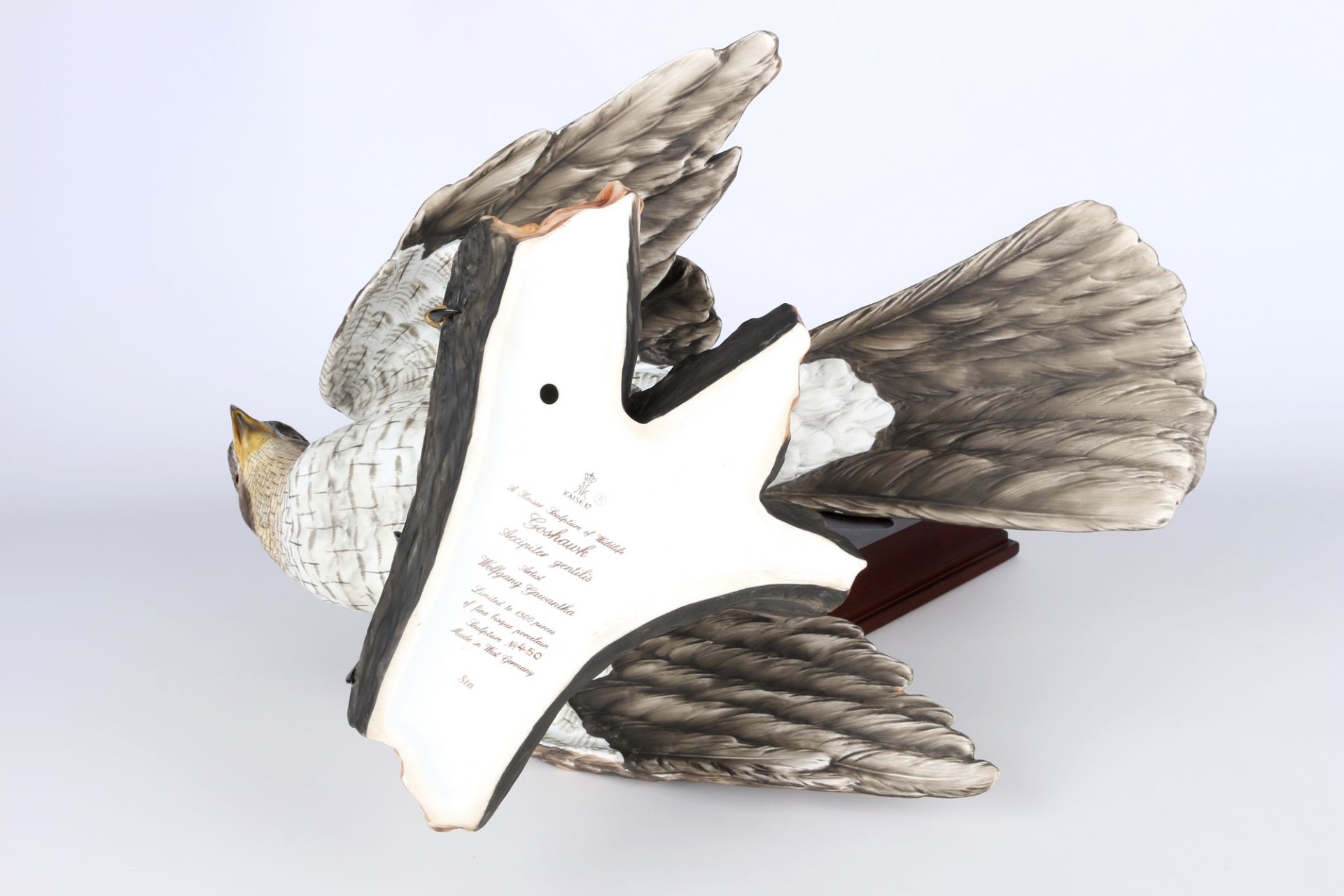 AK Kaiser Habicht auf Ast, porcelain goshawk, - Bild 5 aus 5