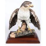 AK Kaiser Habicht auf Ast, porcelain goshawk,