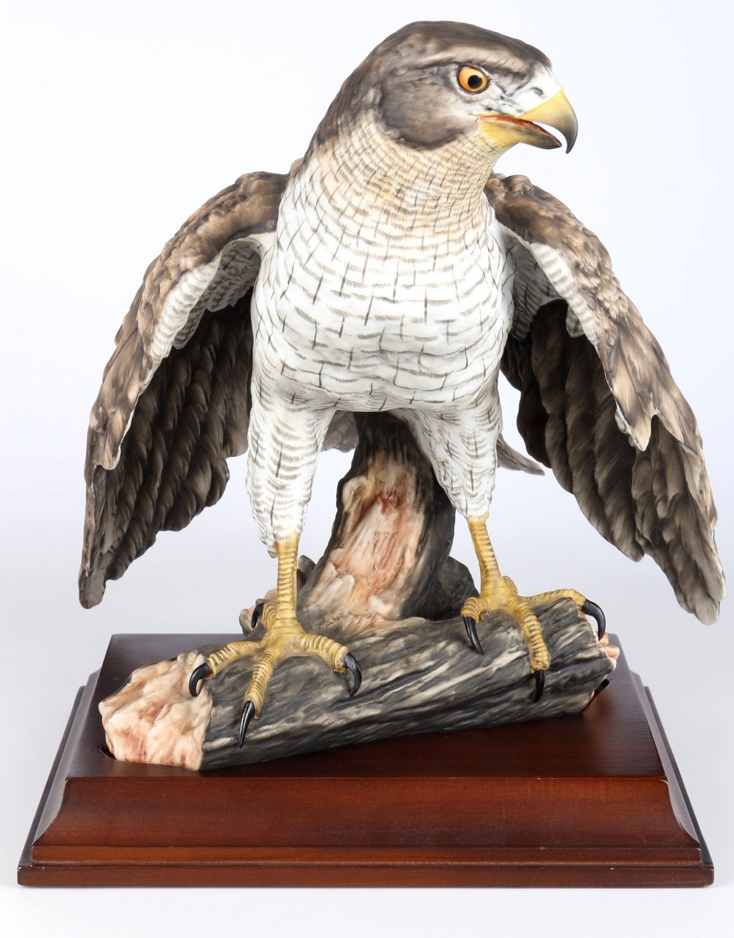 AK Kaiser Habicht auf Ast, porcelain goshawk,