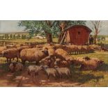 Peter Josef Strahn (1904-1997) Schafherde, flock of sheep,