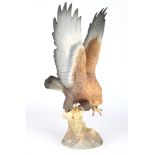 Hutschenreuther Steinadler, porcelain golden eagle,