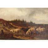 Laurens Plas (1828-1893) Hirtin mit Schafen, shepard with sheep flock,