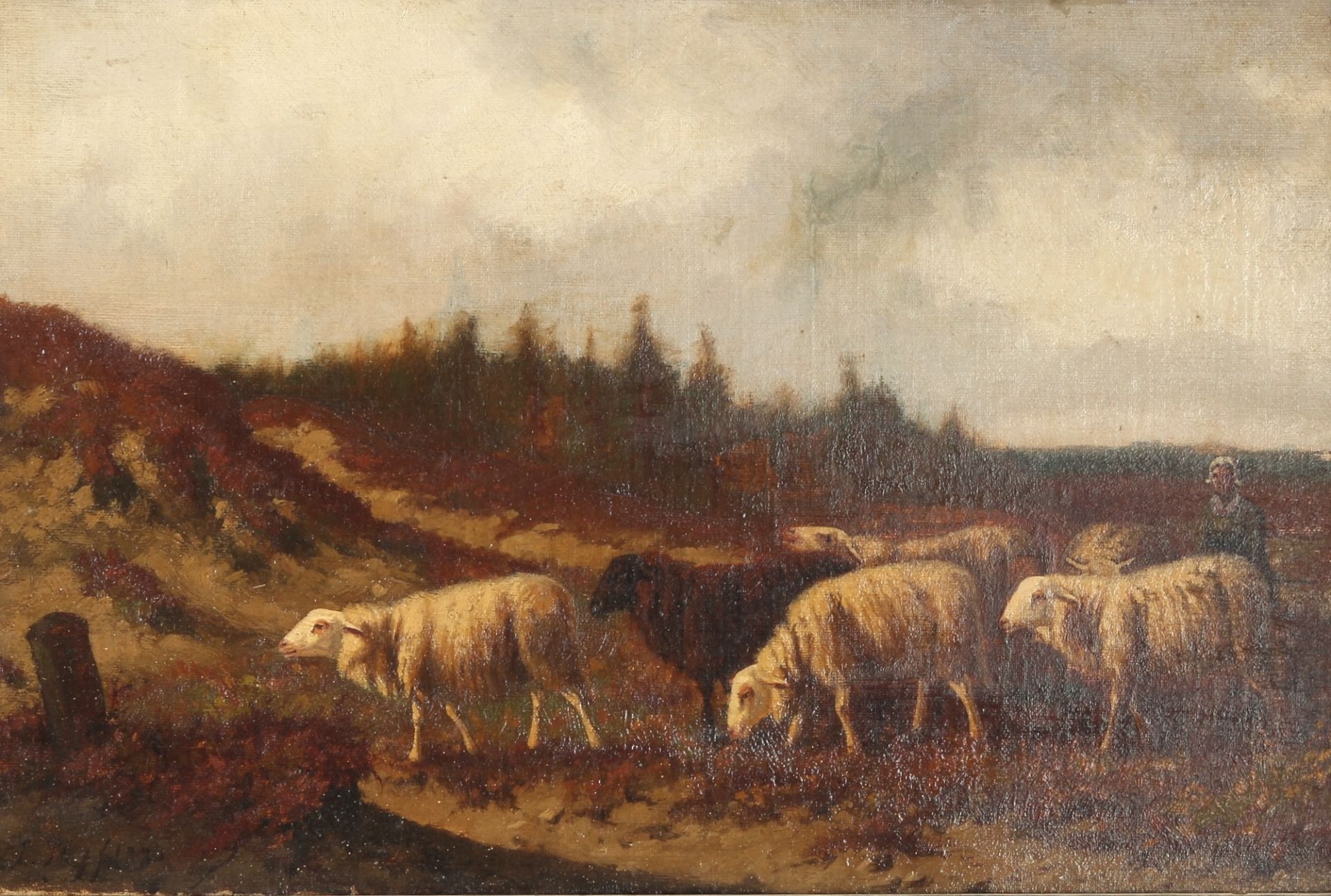 Laurens Plas (1828-1893) Hirtin mit Schafen, shepard with sheep flock,