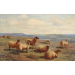 Charles Jones (1836-1892) Landschaft mit Schafen 1890, Landscape with Sheep 1890,