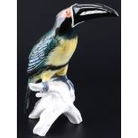 Karl Ens Tucan, Volkstedt, porcelain falcon,