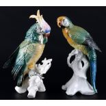 Karl Ens großer Kakadu und Ara Papagei, Volkstedt, porcelain cockatoo and parrot,