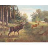 Willy Franken (1911-1984) Hirschrudel auf Waldlichtung, herd of stags at forest glade,