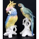 Karl Ens großer Kakadu und Ara Papageie, Volkstedt, porcelain cockatoo and ara parrots,