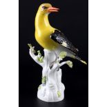 Meissen Pirol auf Stamm 1.Wahl, porcelain oriole 1st choice,