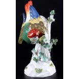 Meissen Papagei auf Stamm 1.Wahl, J.J. Kaendler, parrot on tree trunk 1st choice,